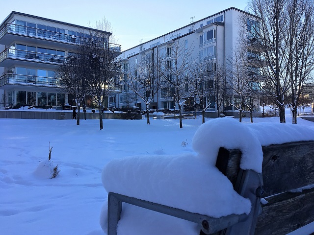 Gårdshus från parterren